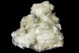 Calcite Crystal Cluster with Pyrite - Morocco #133711-1